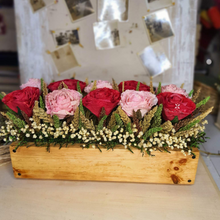 Load image into Gallery viewer, By the window