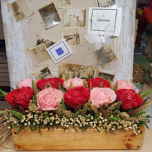 Load image into Gallery viewer, By the window