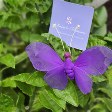 Load image into Gallery viewer, Pink Cocoon