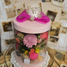 Load image into Gallery viewer, Stories in a Box (Series 2)