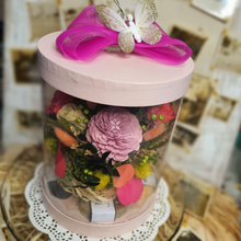 Load image into Gallery viewer, Stories in a Box (Series 2)